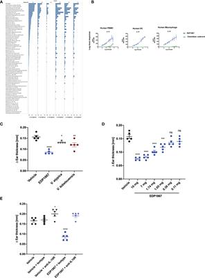 Regulation of Peripheral Inflammation by a Non-Viable, Non-Colonizing Strain of Commensal Bacteria